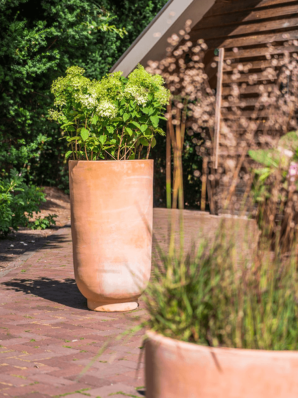 Vase terra