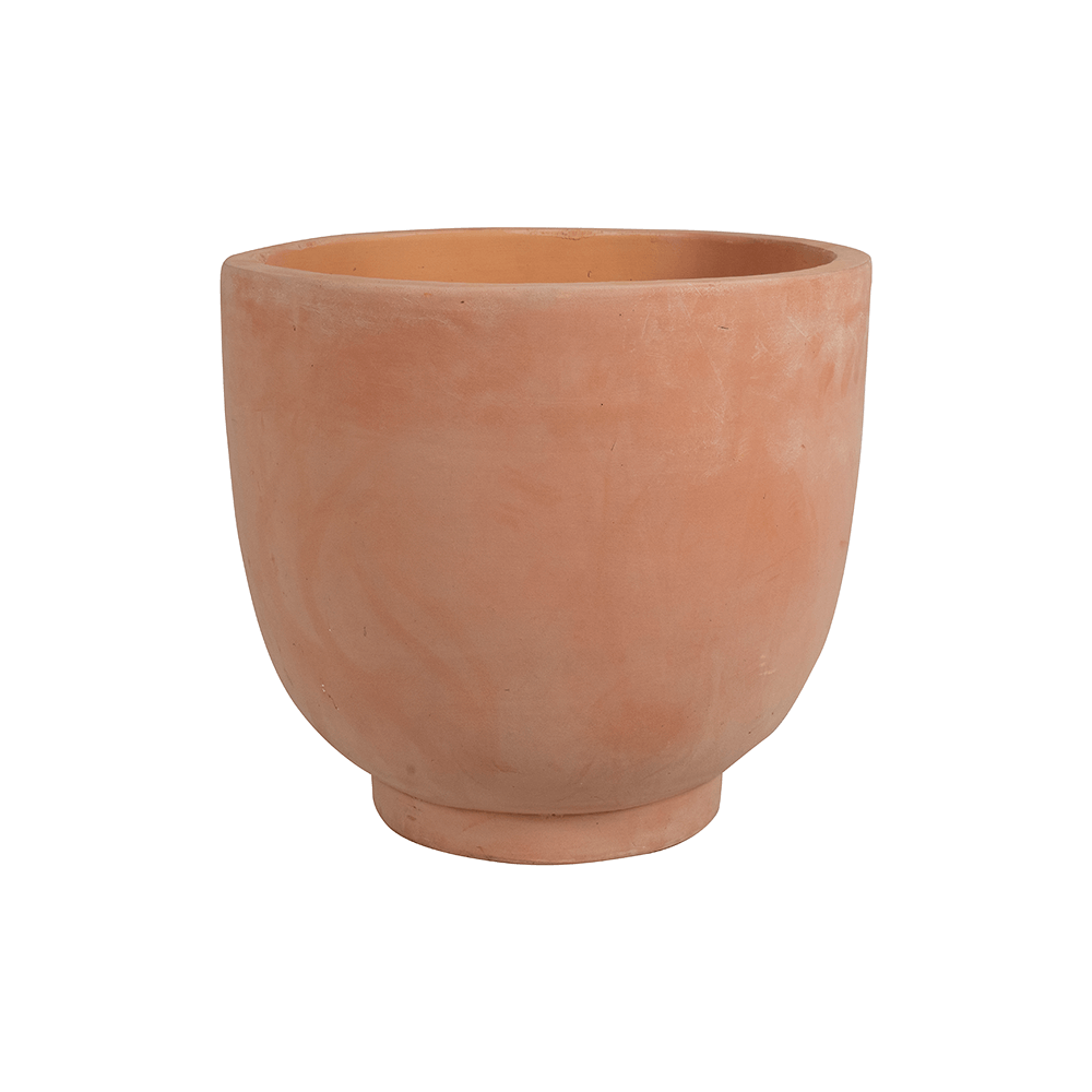 Pot terra