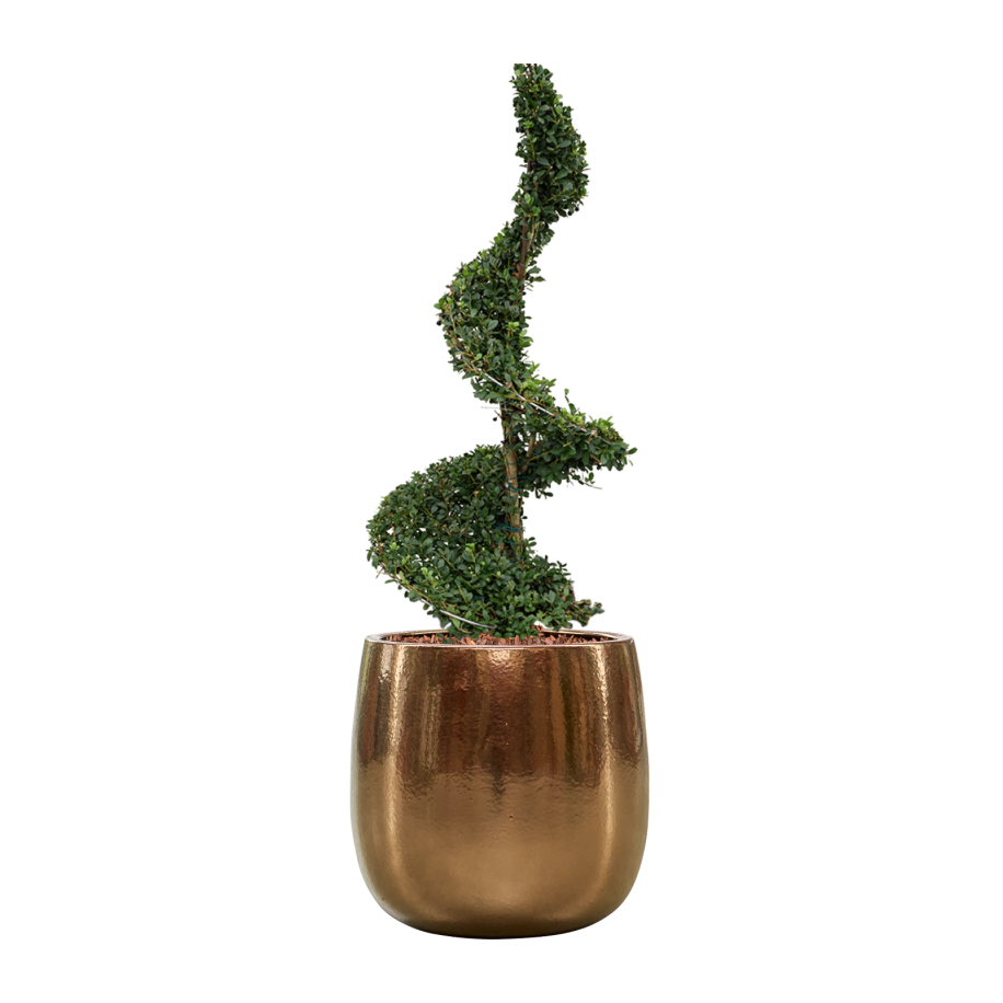 Balloon pot