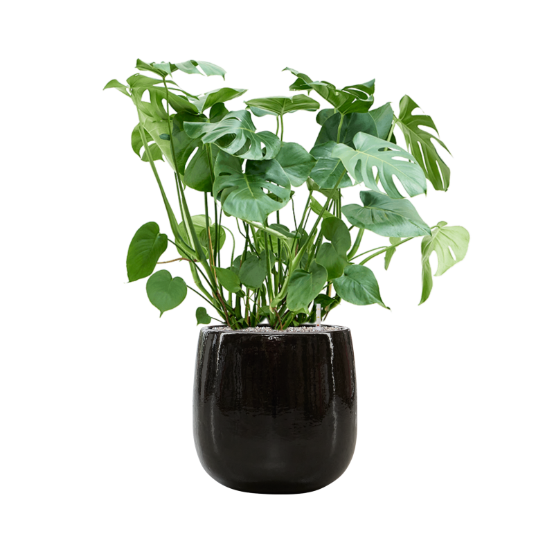 Balloon pot