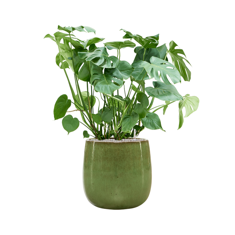 Balloon pot