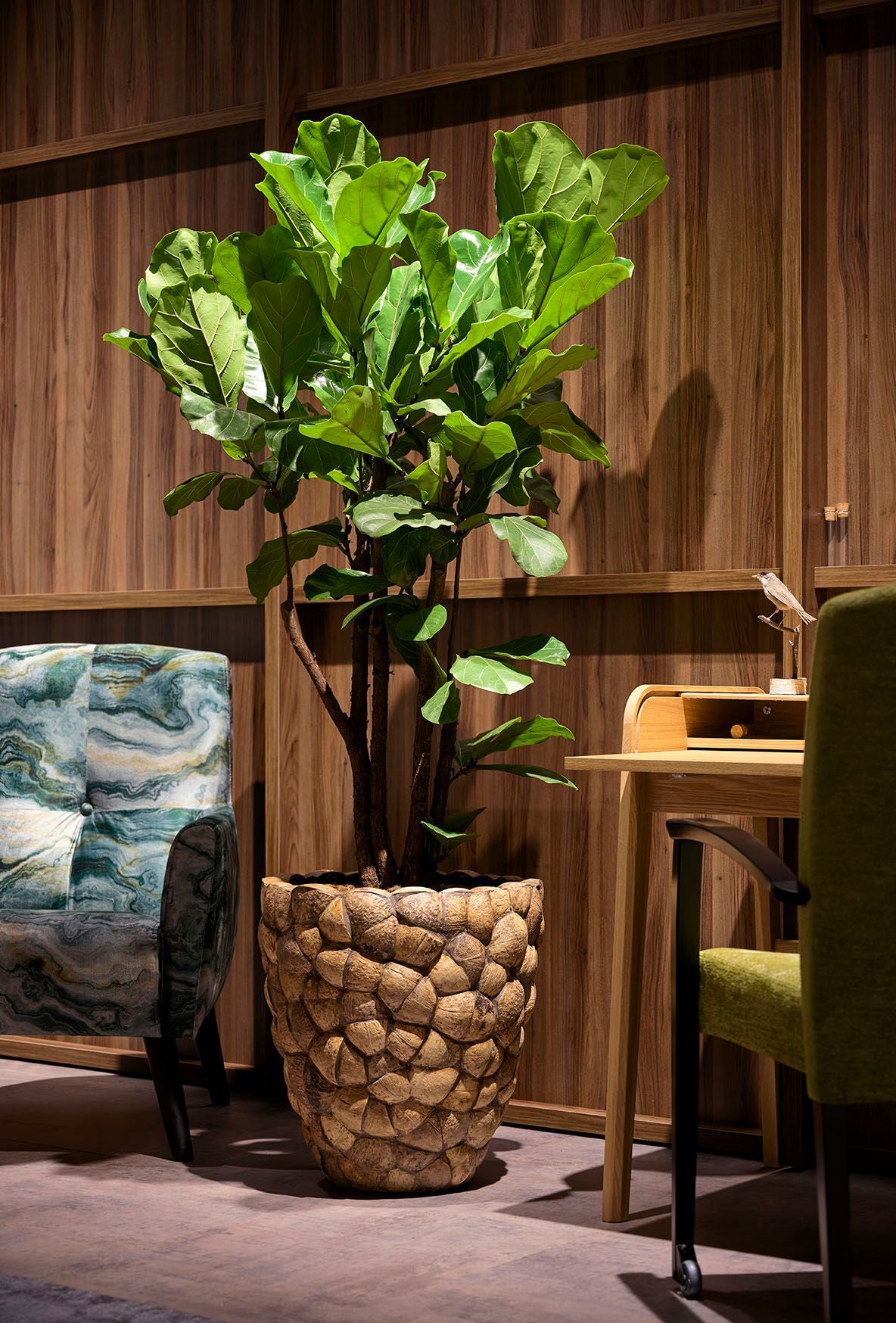 Bosco Pot Coconut Shell