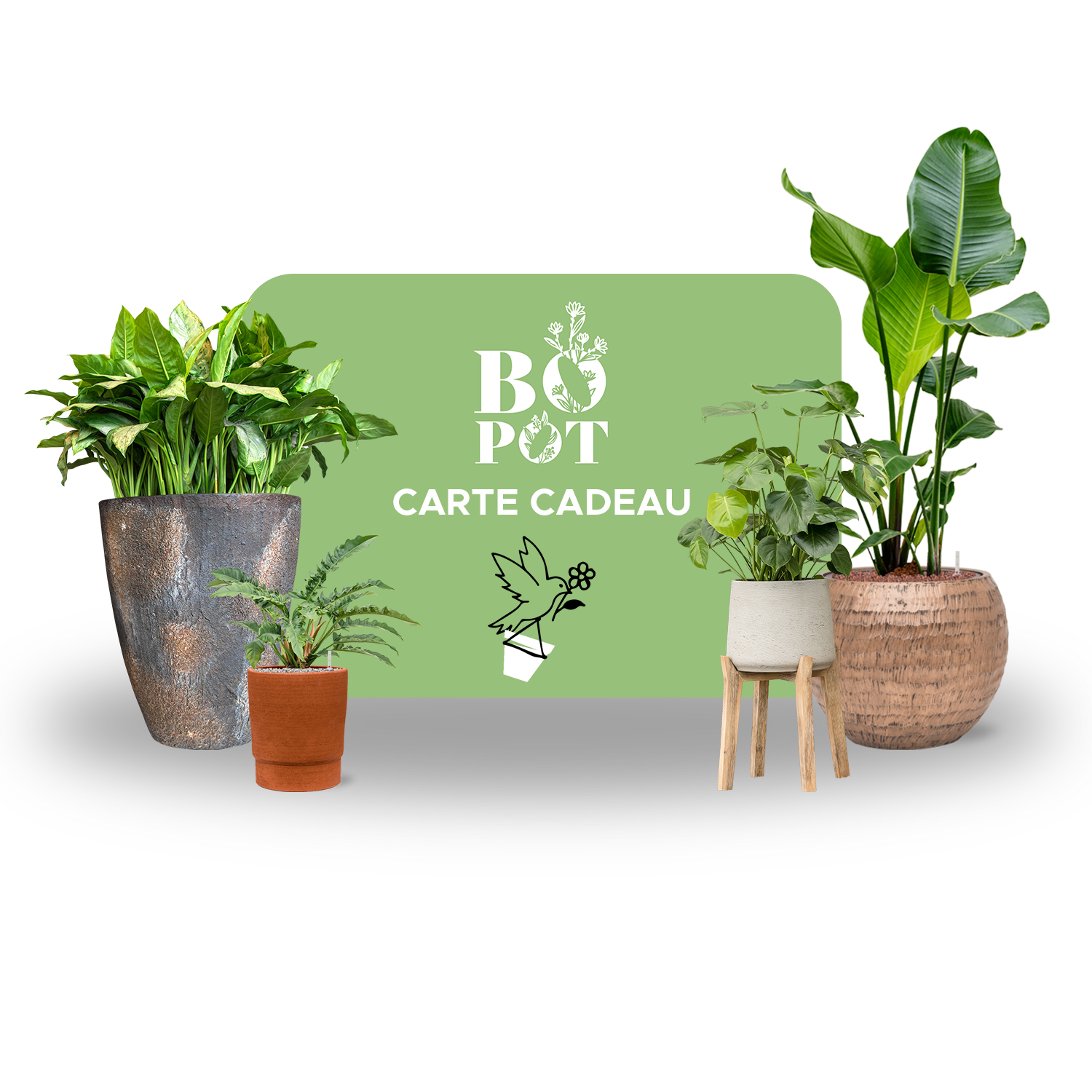 Carte-cadeau Bopot